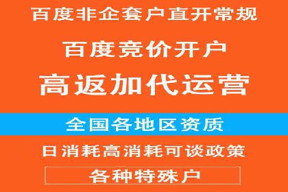 案例剖析：SEM竞价代运营助力品牌崛起